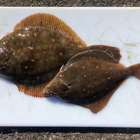 Awesome In With Wifi * Farsund