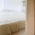 Awesome In With Wifi